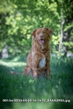 001-lm-2025-04-30-16-16-18_8A8A3985